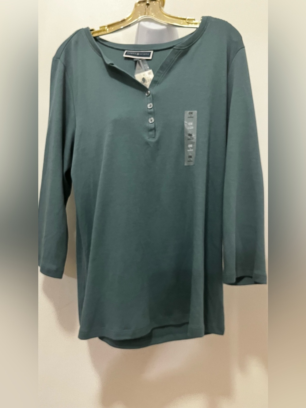 Karen Scott Long-Sleeve Henley Shirt - Teal